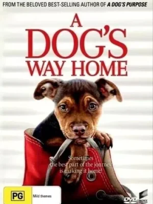 A Dog's Way Home DVD